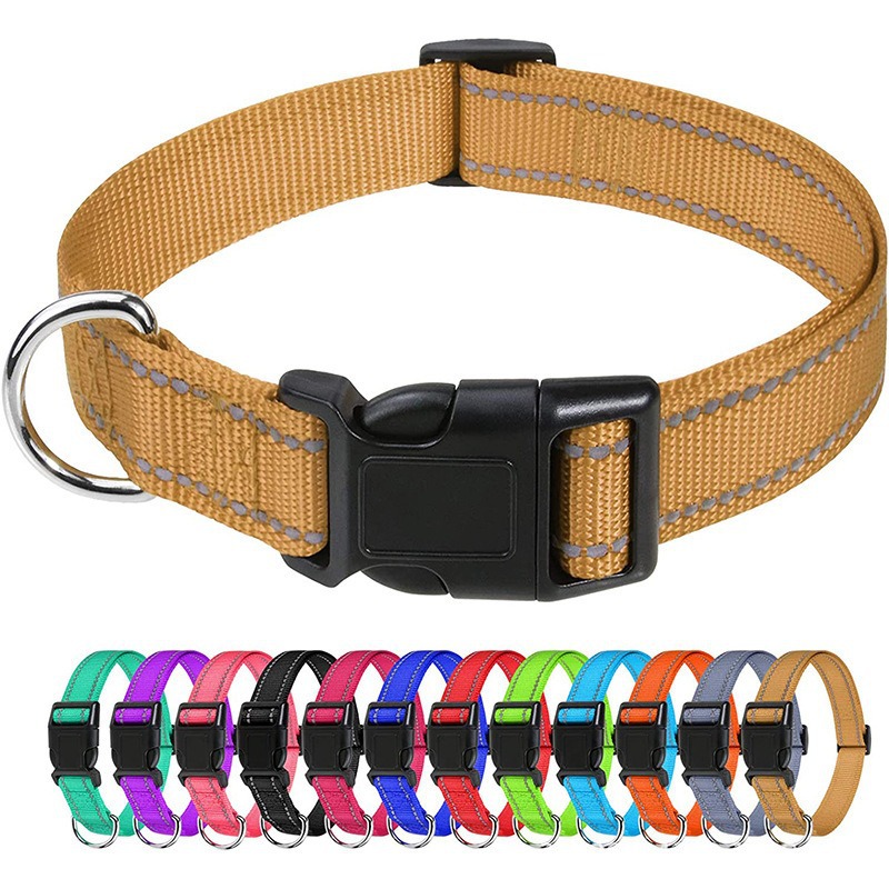 Basics Reflective Polyester Dog Collar, Adjustable Length, Quick-Release Buckle For Easy On Off