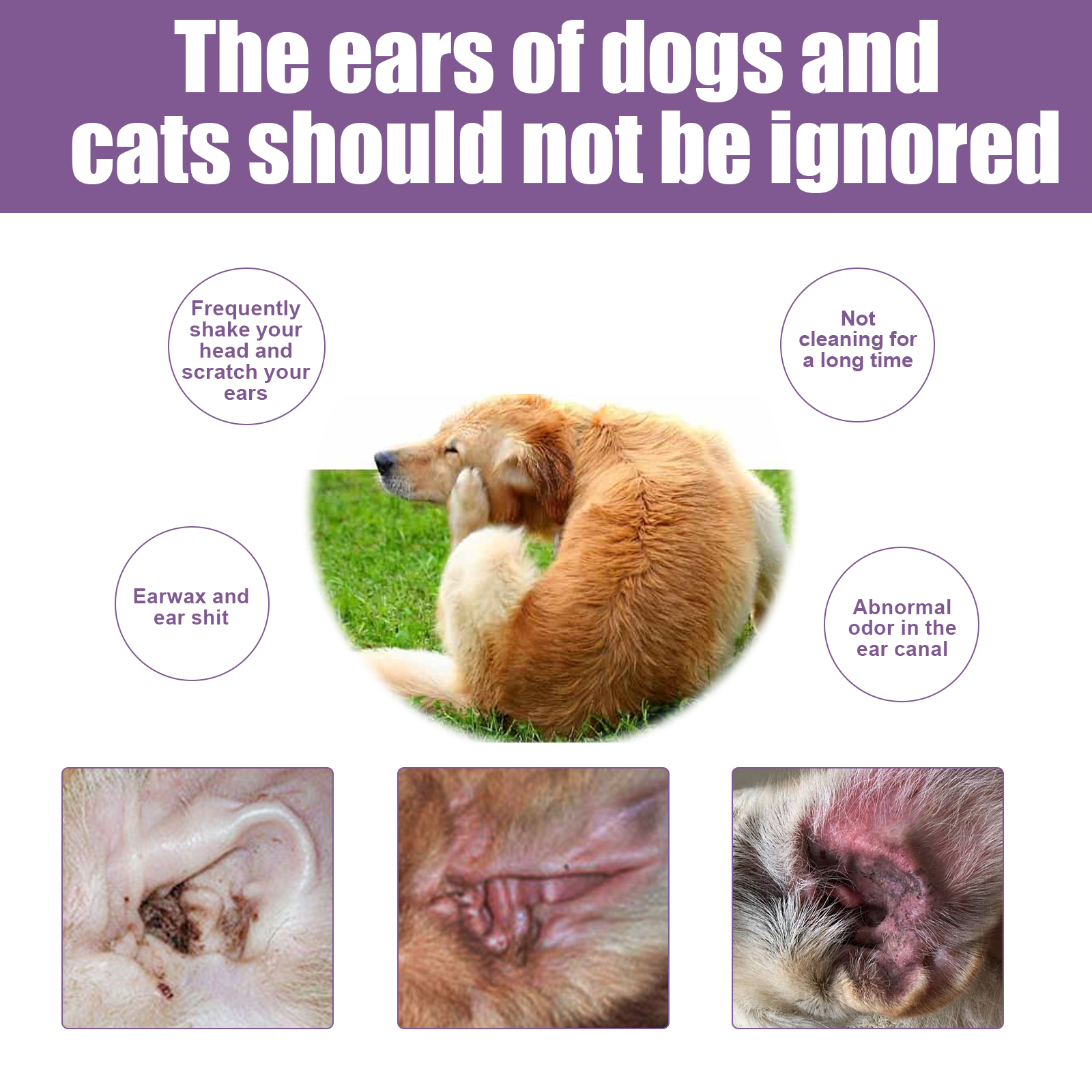 118ml Pet Ear Rinse Cleaner With Glycerin & Disodium EDTA, Anti-Itch Antimicrobial Ear Wash For Dogs Cats, Alcohol-Free Gentle Ear Cleanser With Cotton Swabs