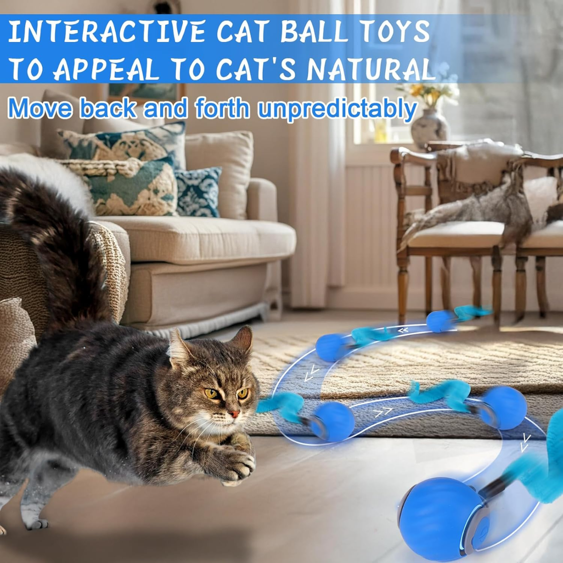 Cat Toy Ball