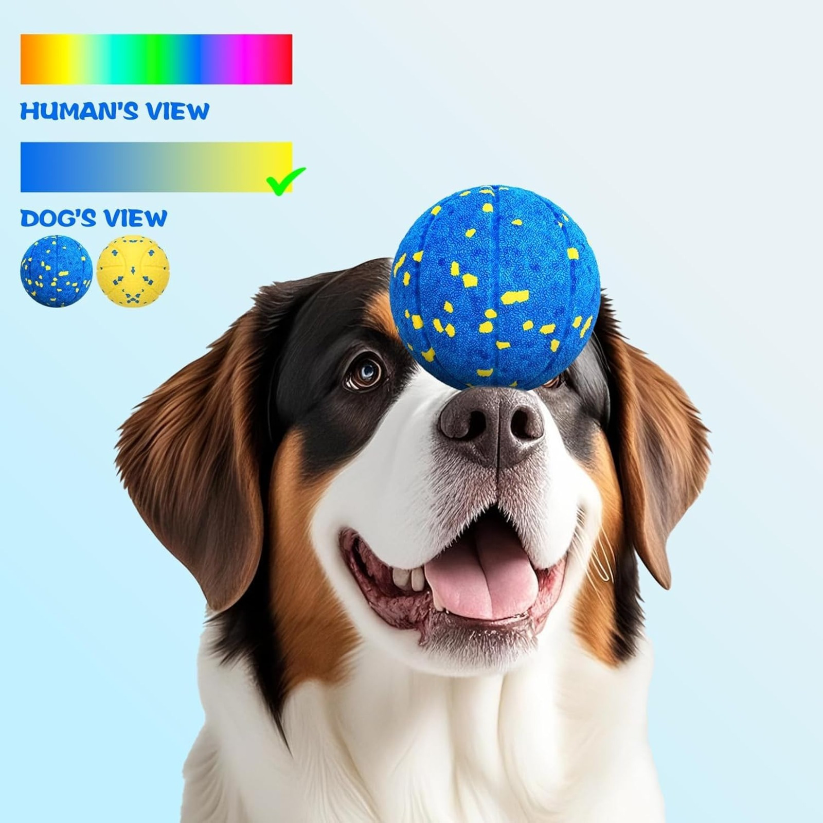 Blue Dog Toy Ball, Durable Pet Accessory For Outdoor Activities, Spring Festivals, And Garden Parties
