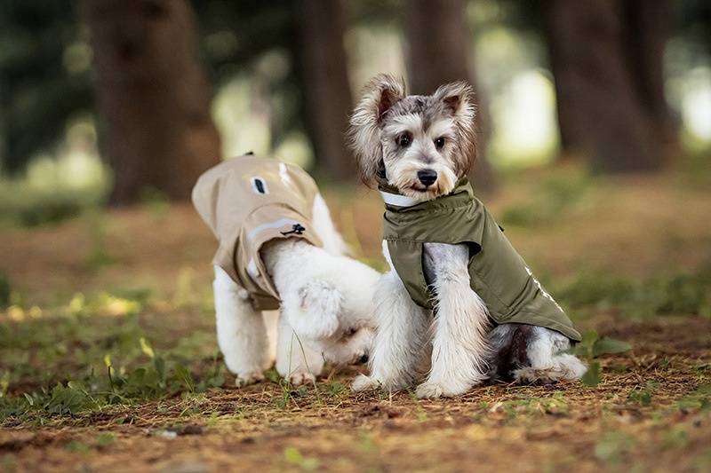 Dog Outdoor Windproof Rain Raincoat Puppy Reflective Pet Poncho
