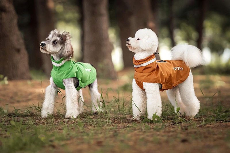 Dog Outdoor Windproof Rain Raincoat Puppy Reflective Pet Poncho
