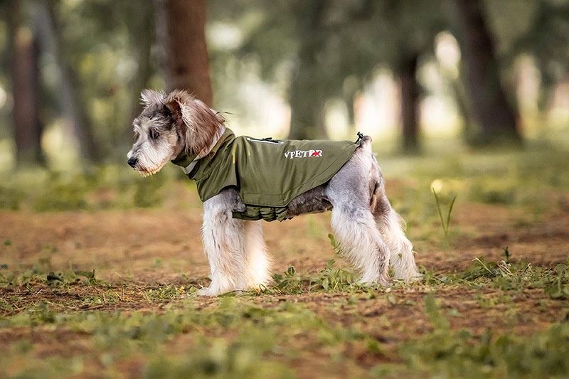Dog Outdoor Windproof Rain Raincoat Puppy Reflective Pet Poncho