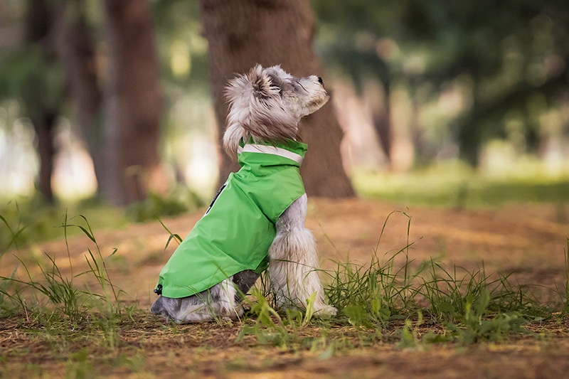 Dog Outdoor Windproof Rain Raincoat Puppy Reflective Pet Poncho