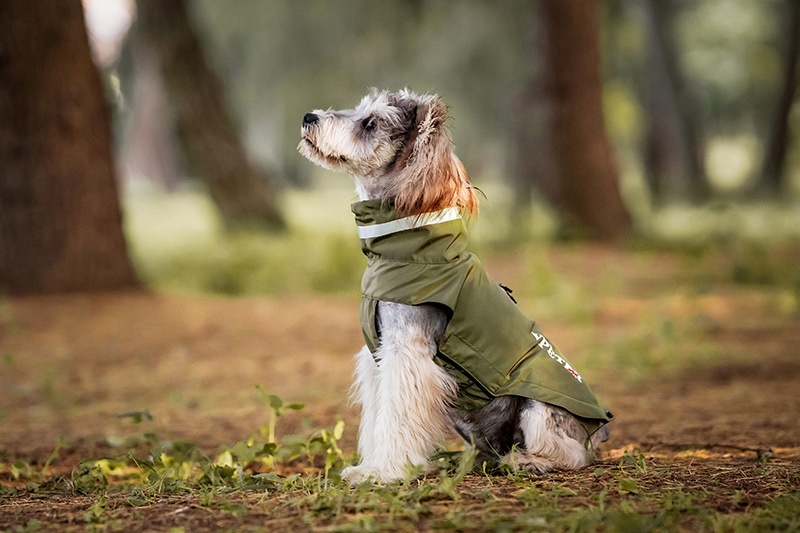 Dog Outdoor Windproof Rain Raincoat Puppy Reflective Pet Poncho