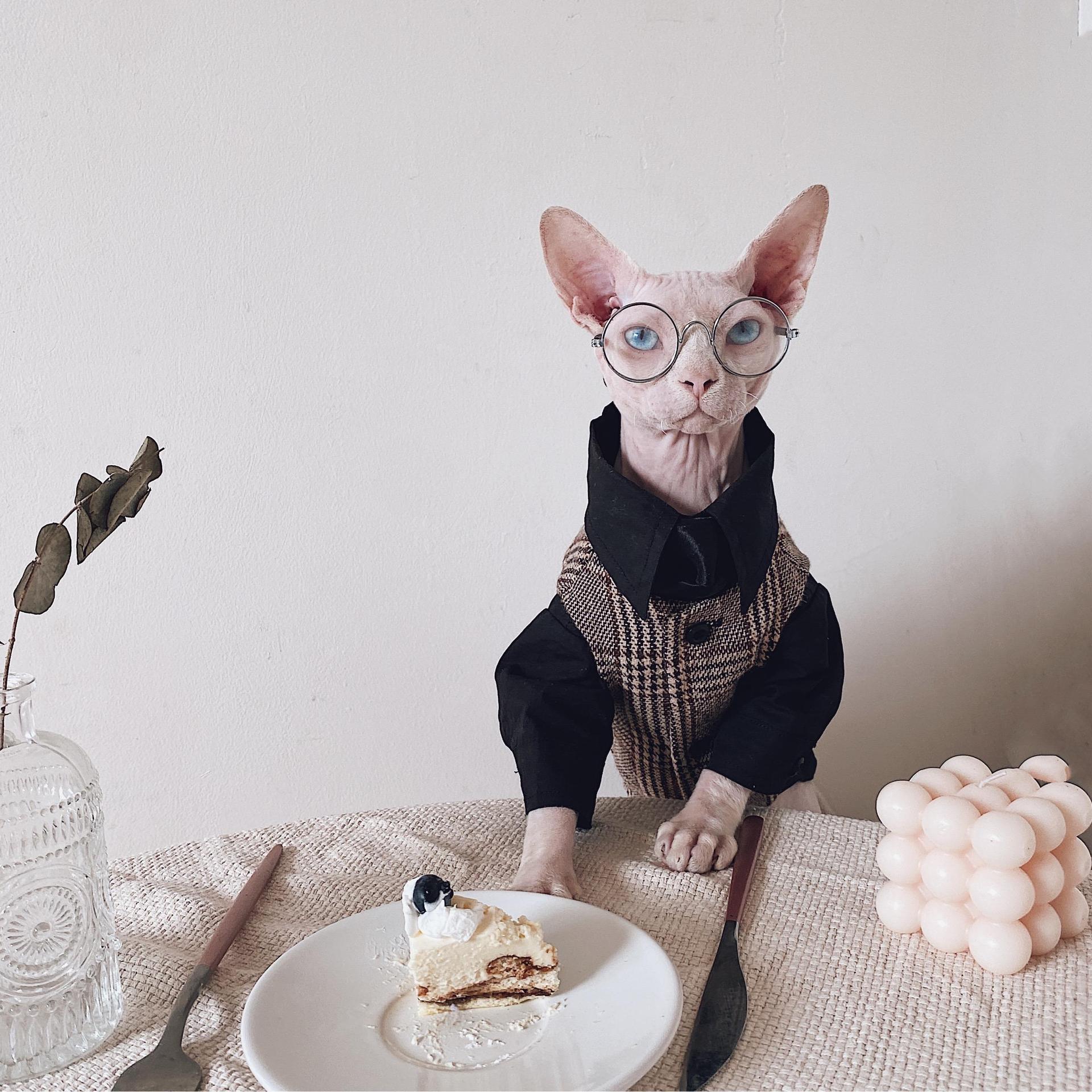 Sphynx Cat Dress Shirt Tie Vest Blazer Set For Hairless Cats