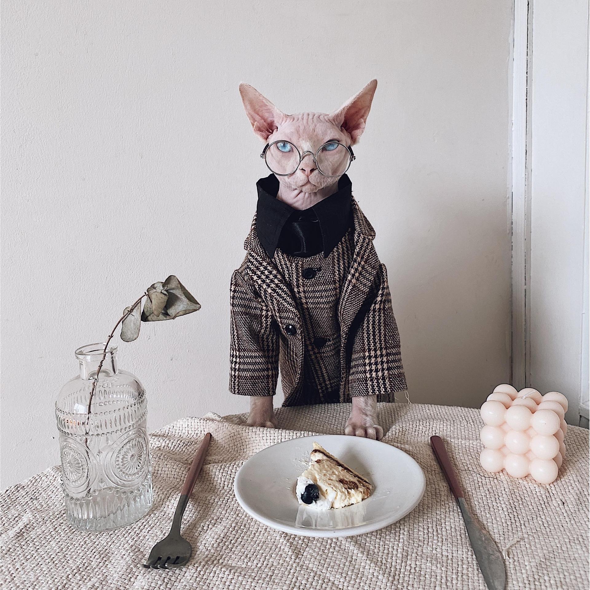 Sphynx Cat Dress Shirt Tie Vest Blazer Set For Hairless Cats