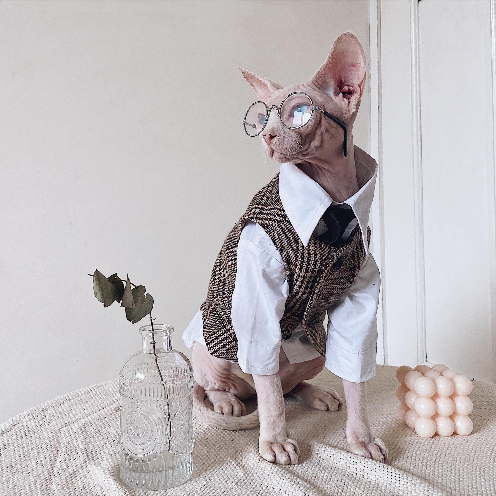 Sphynx Cat Dress Shirt Tie Vest Blazer Set For Hairless Cats