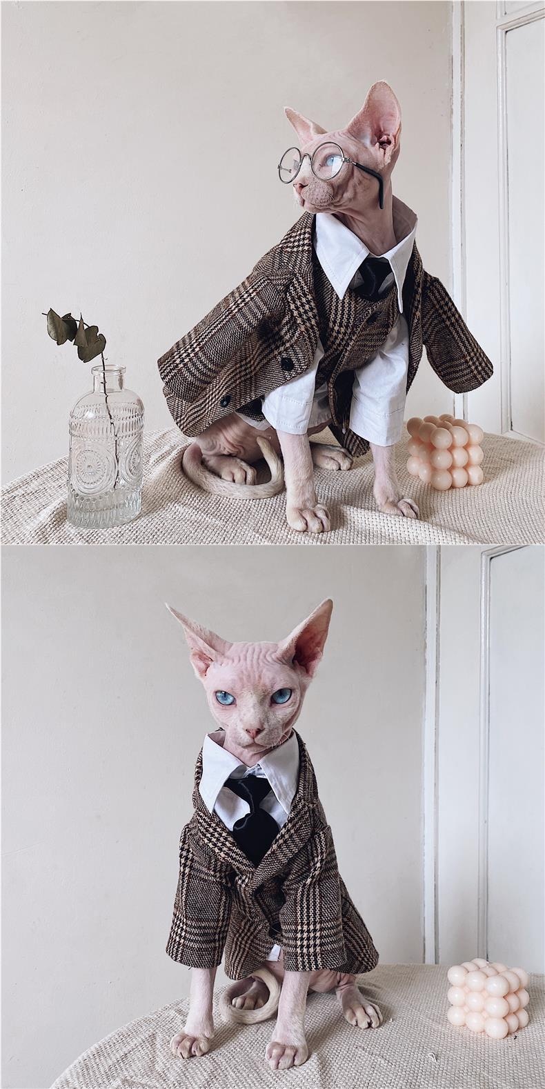Sphynx Cat Dress Shirt Tie Vest Blazer Set For Hairless Cats