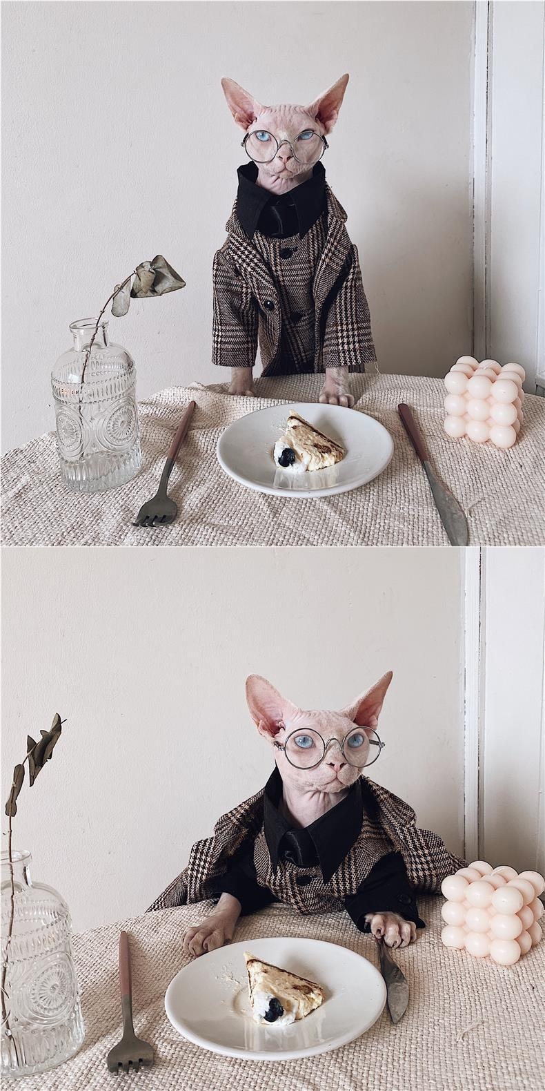 Sphynx Cat Dress Shirt Tie Vest Blazer Set For Hairless Cats