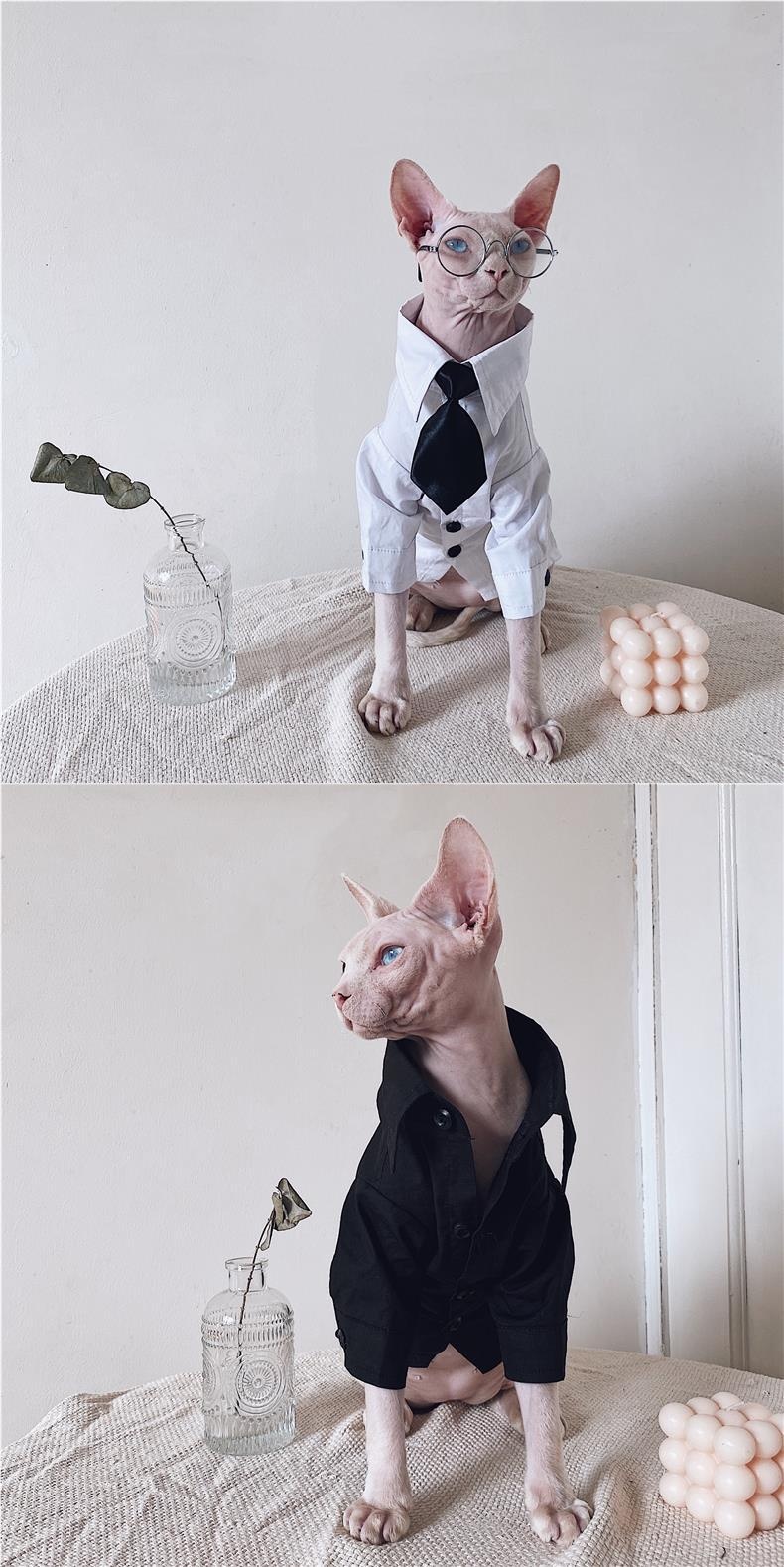 Sphynx Cat Dress Shirt Tie Vest Blazer Set For Hairless Cats
