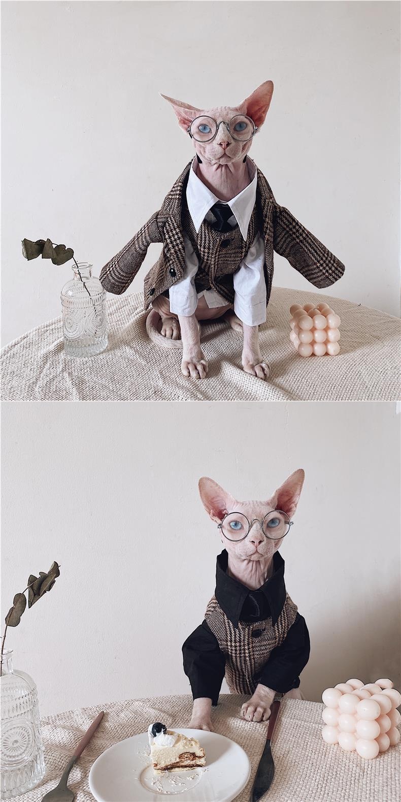 Sphynx Cat Dress Shirt Tie Vest Blazer Set For Hairless Cats