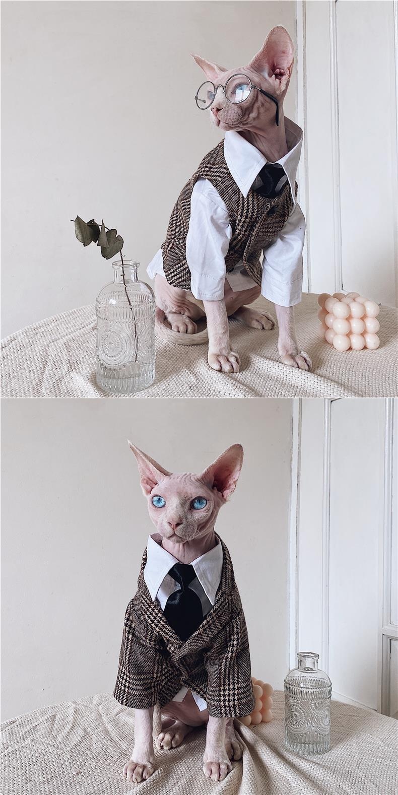 Sphynx Cat Dress Shirt Tie Vest Blazer Set For Hairless Cats