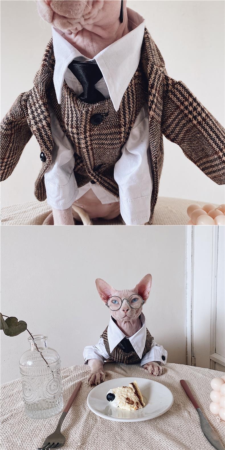 Sphynx Cat Dress Shirt Tie Vest Blazer Set For Hairless Cats