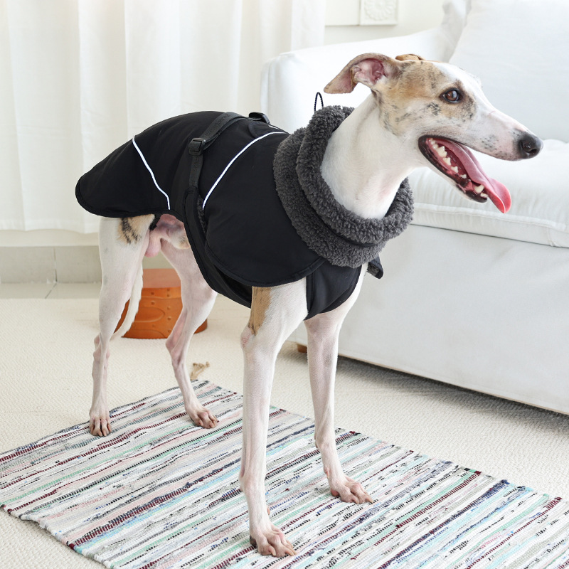 Dog Cotton-padded Clothes Go Out In Autumn And Winter Warm-keeping And Cold-proof Pet Clothes
