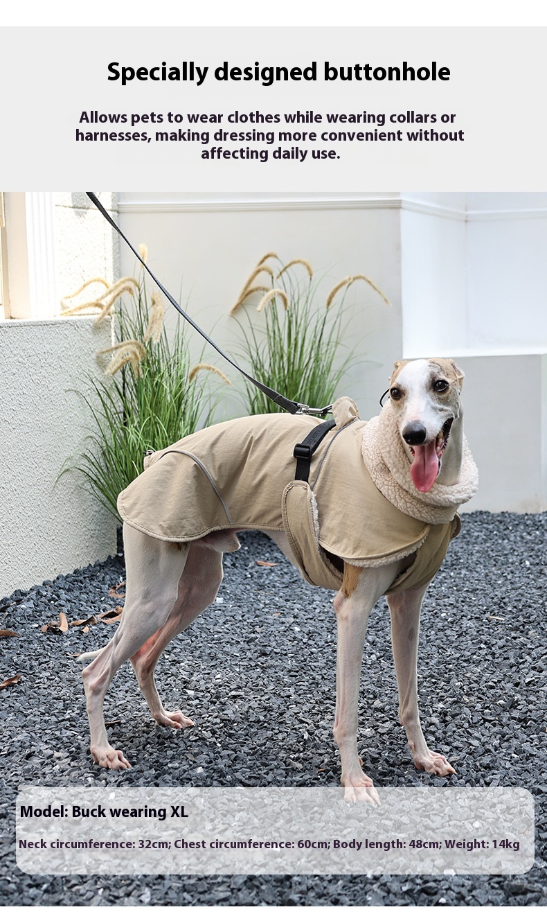 Dog Cotton-padded Clothes Go Out In Autumn And Winter Warm-keeping And Cold-proof Pet Clothes