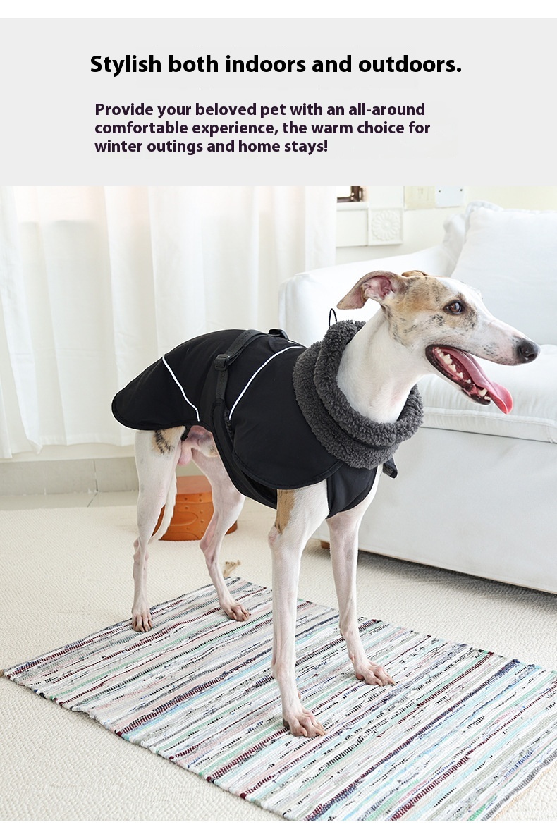 Dog Cotton-padded Clothes Go Out In Autumn And Winter Warm-keeping And Cold-proof Pet Clothes
