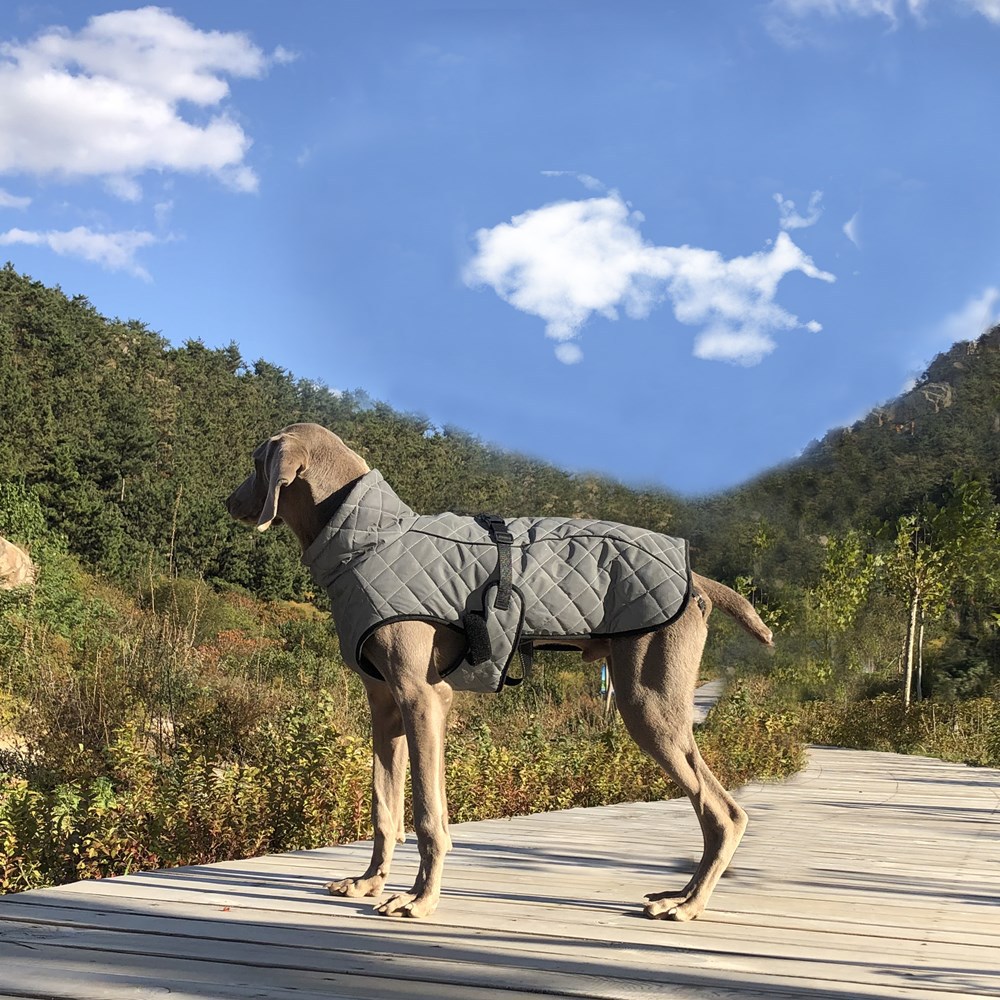 Pet Clothing Full-body Reflective Tactical Jacket For Dogs