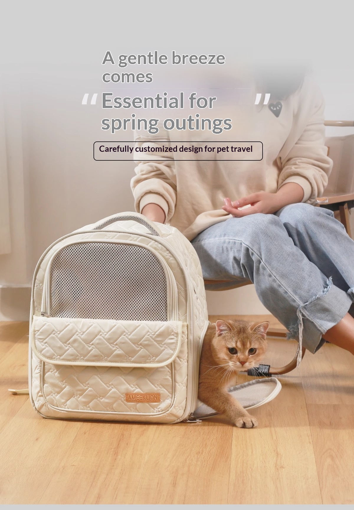 Cat Carrier Space Capsule Lightweight Portable Handheld Backpack Breathable Pet Bag For Outings
