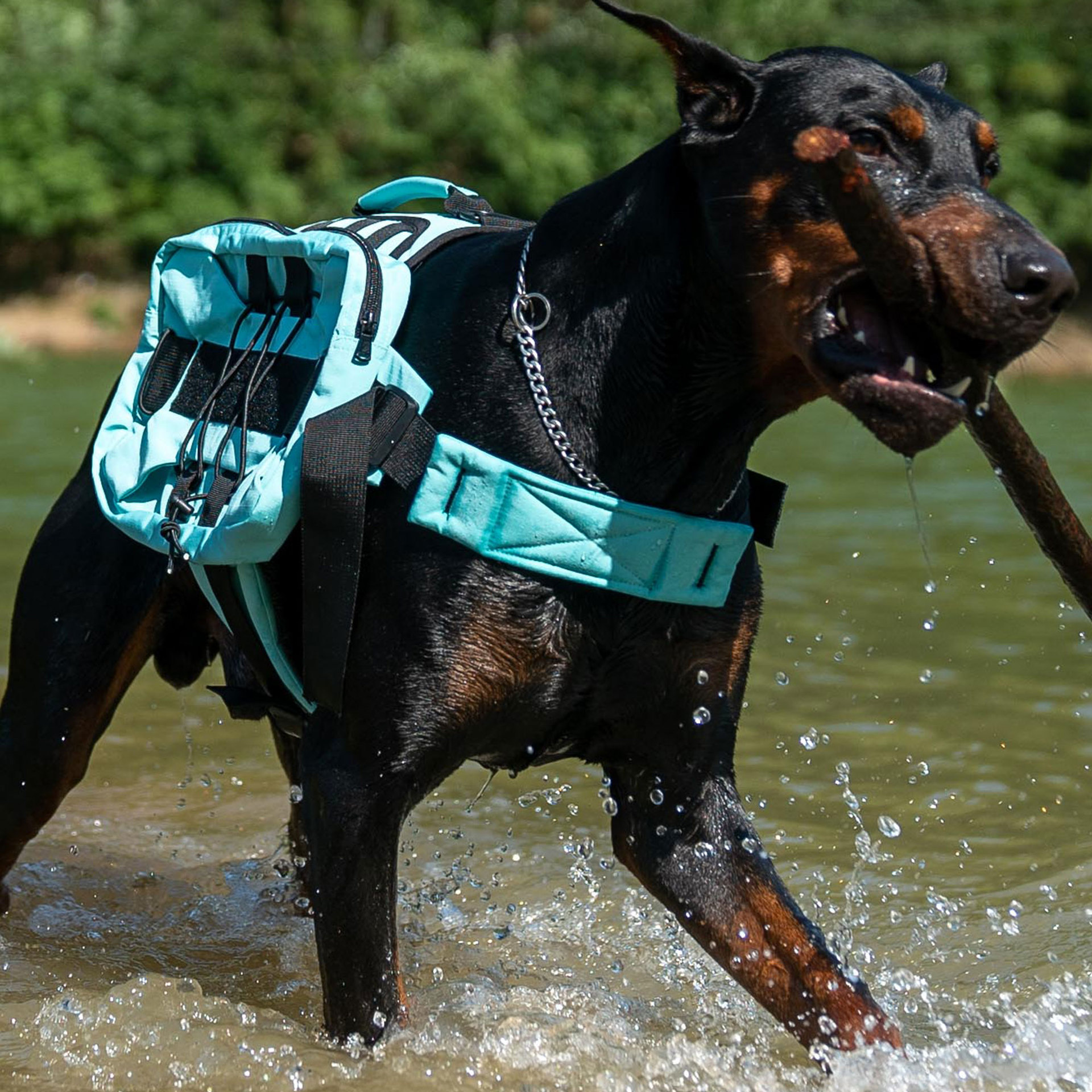 Multi-functional Pet Backpack With Straps