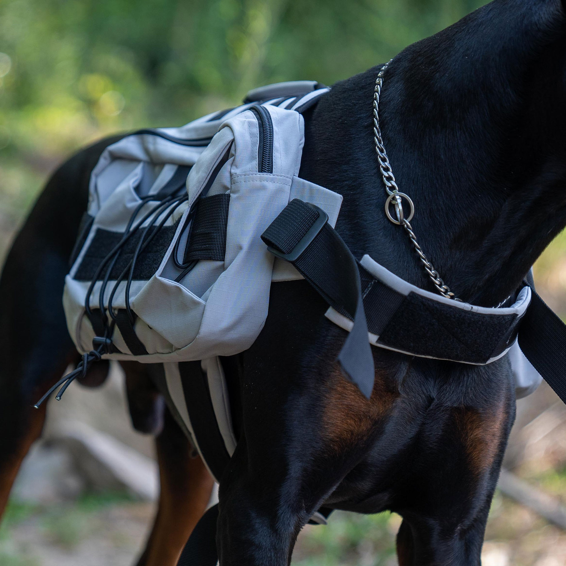 Multi-functional Pet Backpack With Straps