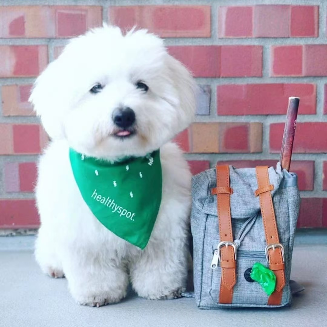 Retro Streetwear Dog Backpack Petite Pet Carrier