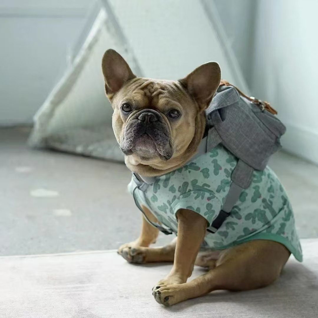Retro Streetwear Dog Backpack Petite Pet Carrier