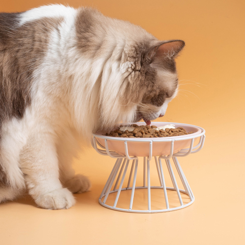 Elevated Pet Food Bowl Stand  Neck Support Feeding Rack For Cats And Dogs