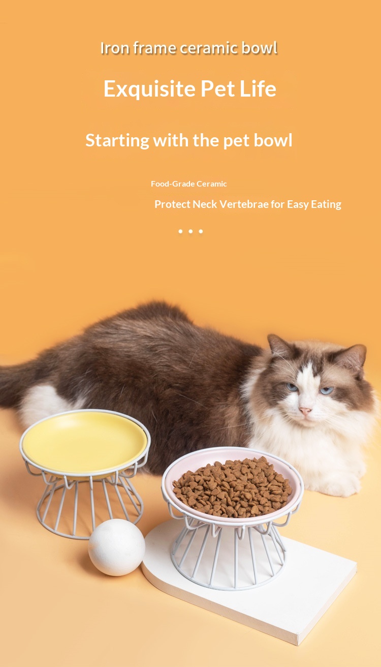 Elevated Pet Food Bowl Stand  Neck Support Feeding Rack For Cats And Dogs