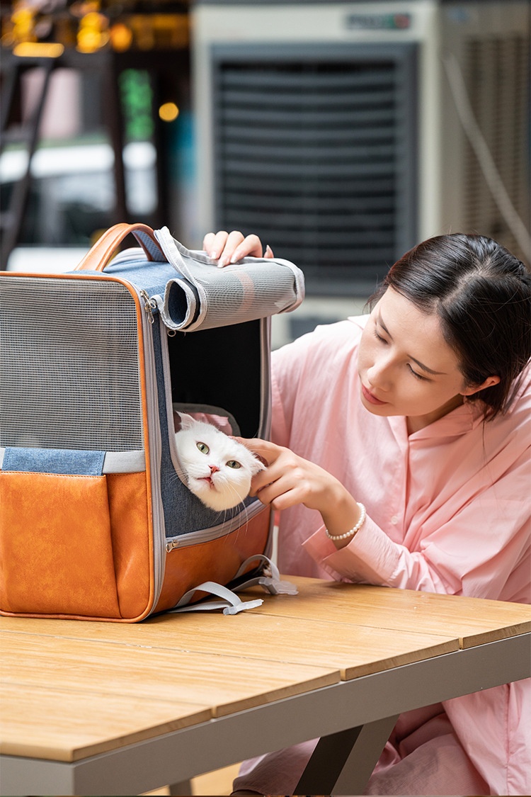 Non-deforming Portable Pet Backpack For Cats On The Go With Shoulder Straps