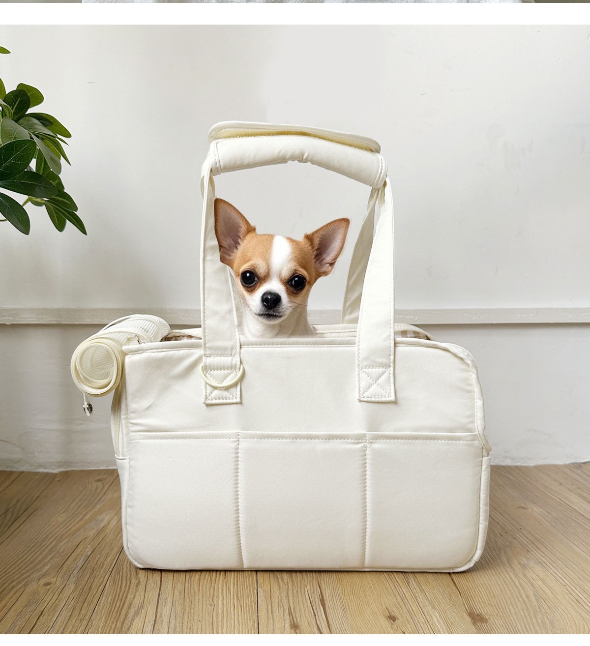 Outdoor Breathable Cat And Dog Carrier Compact And Portable For Pet Outings