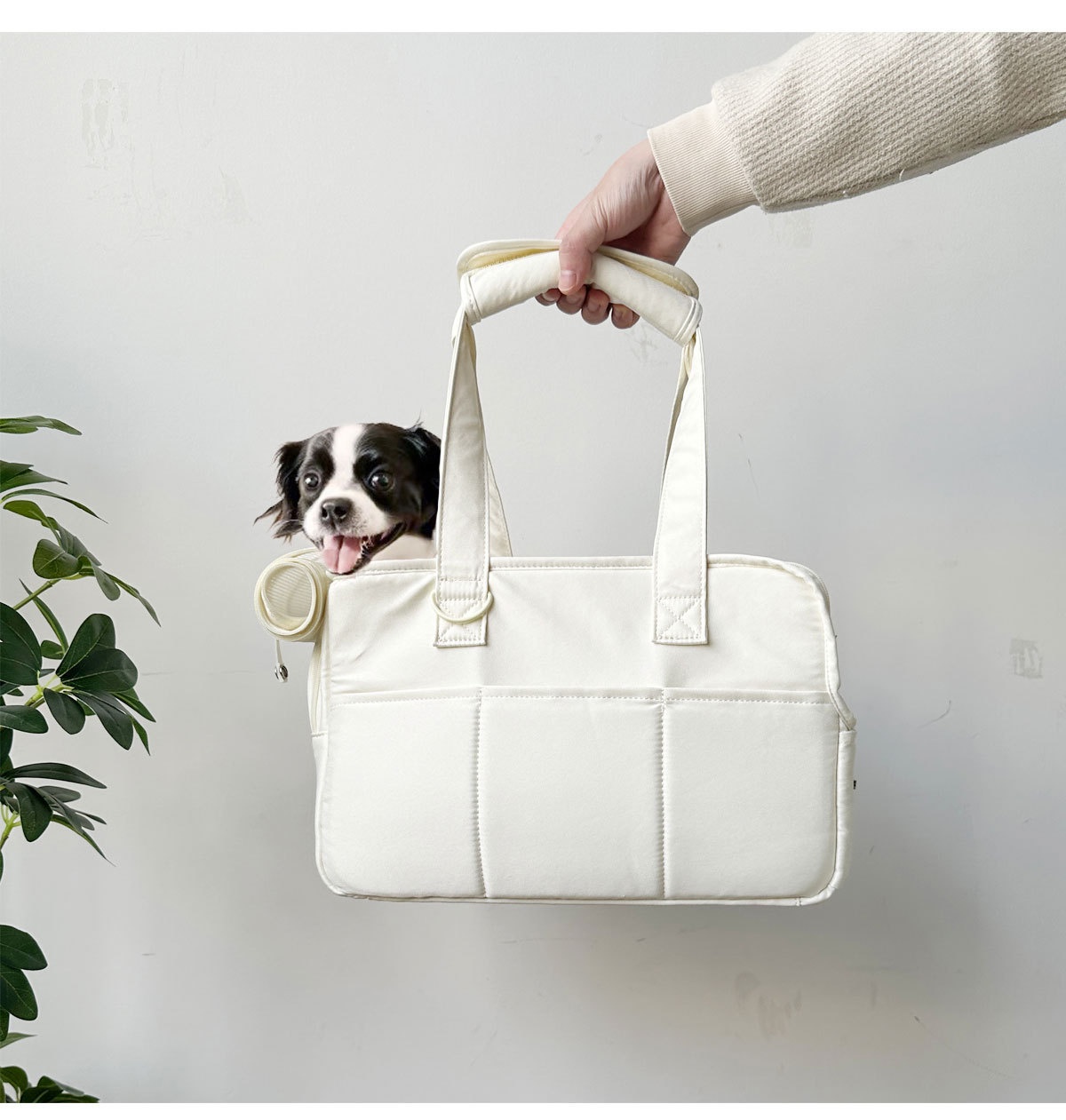 Outdoor Breathable Cat And Dog Carrier Compact And Portable For Pet Outings