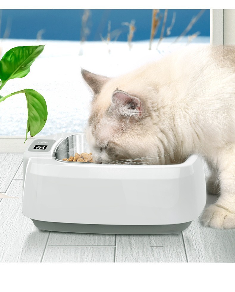 Food-grade Stainless Steel Smart Heated Pet Bowl