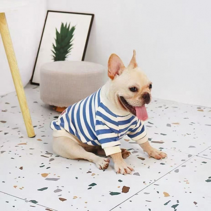 Clothes For Medium To Large Dogs Corgis And Shih Tzus