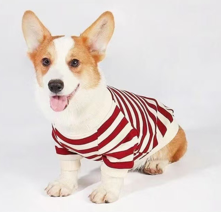 Clothes For Medium To Large Dogs Corgis And Shih Tzus