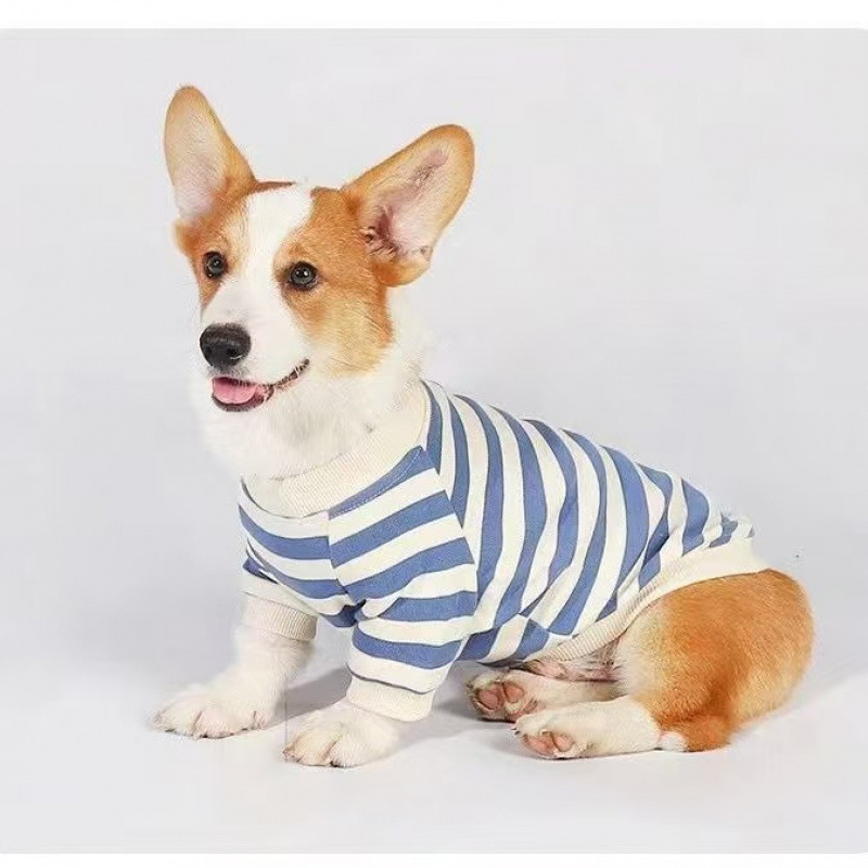 Clothes For Medium To Large Dogs Corgis And Shih Tzus