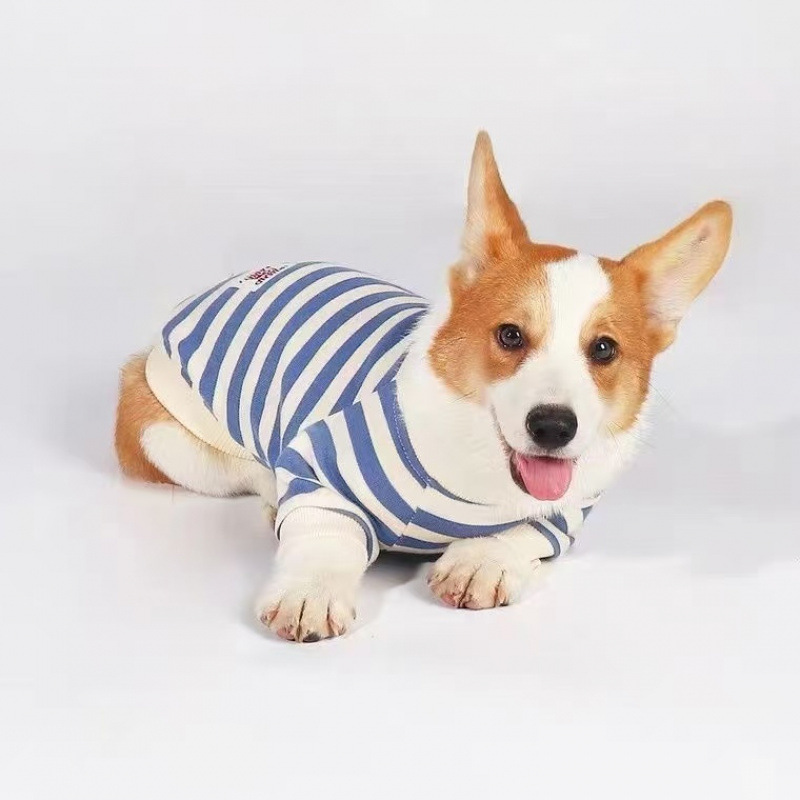 Clothes For Medium To Large Dogs Corgis And Shih Tzus