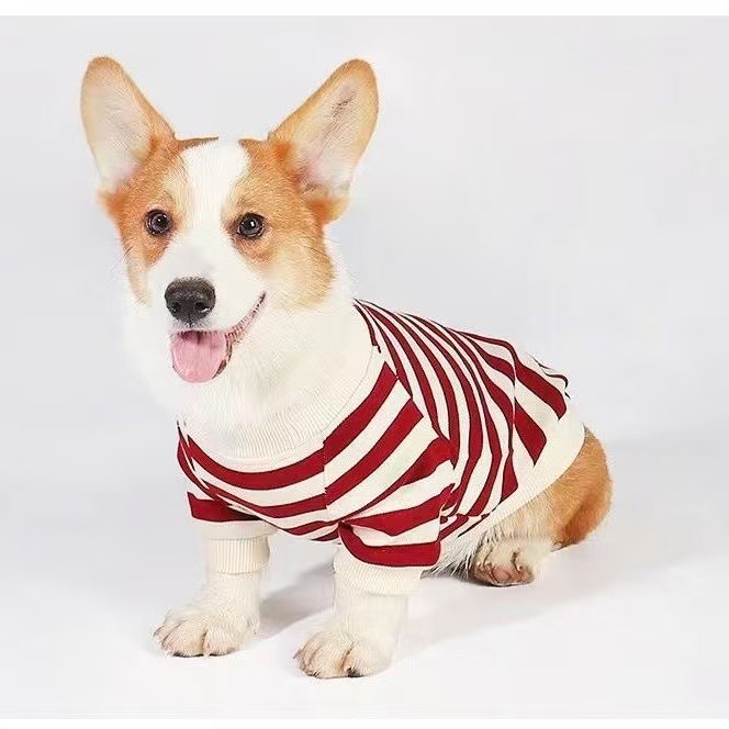 Clothes For Medium To Large Dogs Corgis And Shih Tzus