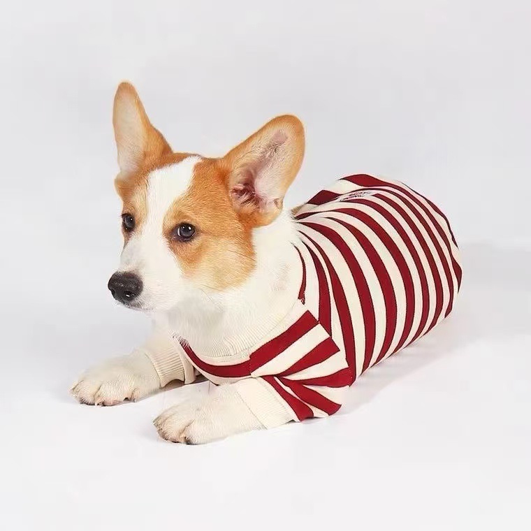 Clothes For Medium To Large Dogs Corgis And Shih Tzus
