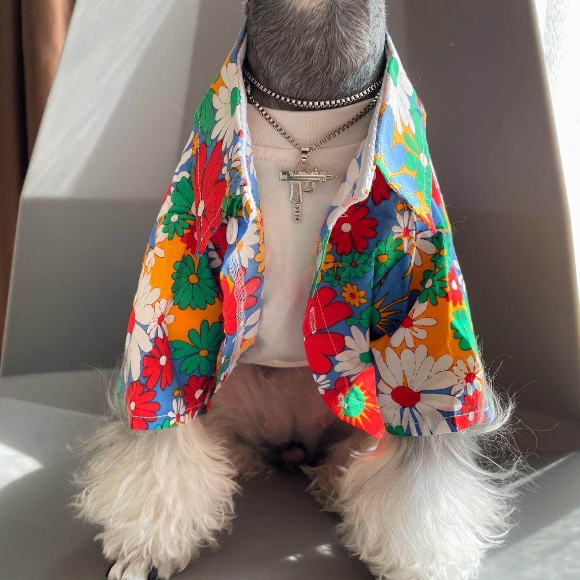 Shiba Inu Beach-style Trendy Pet Shirt Unique Personality