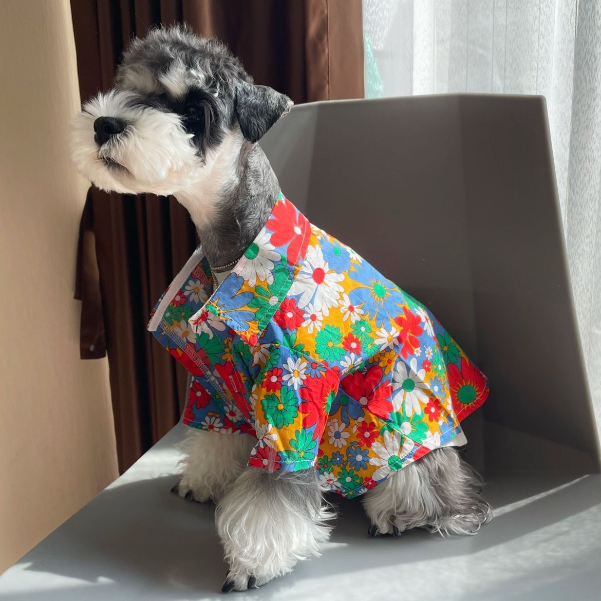 Shiba Inu Beach-style Trendy Pet Shirt Unique Personality