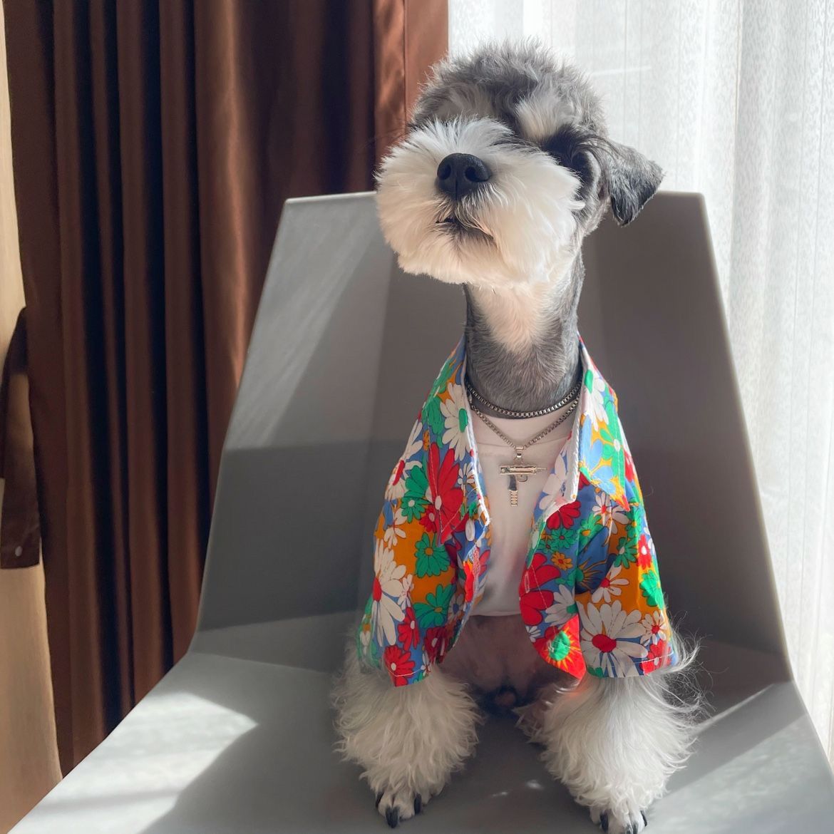 Shiba Inu Beach-style Trendy Pet Shirt Unique Personality