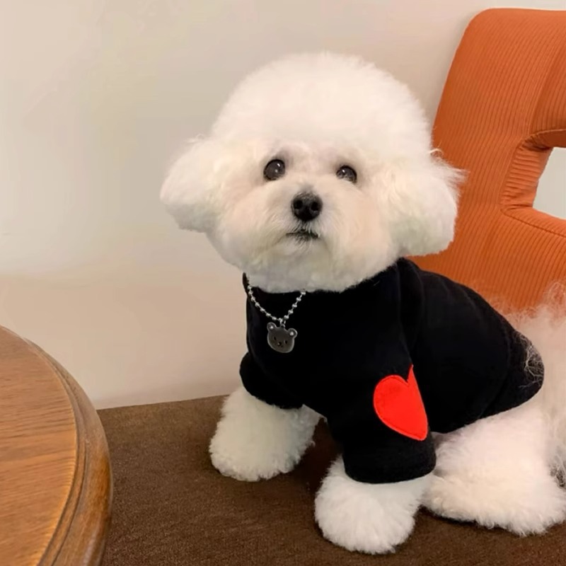 Bichons Heart-Throbbing Love Bottoming Shirt