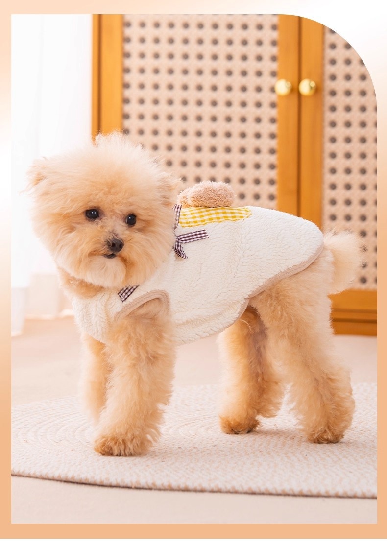Cute Autumn Winter Dog Hoodie With A Little Bear Pocket