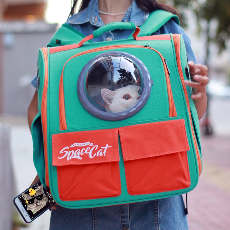 Large Portable Cat Carrier Backpack With Shoulder Straps And Handles For Outings