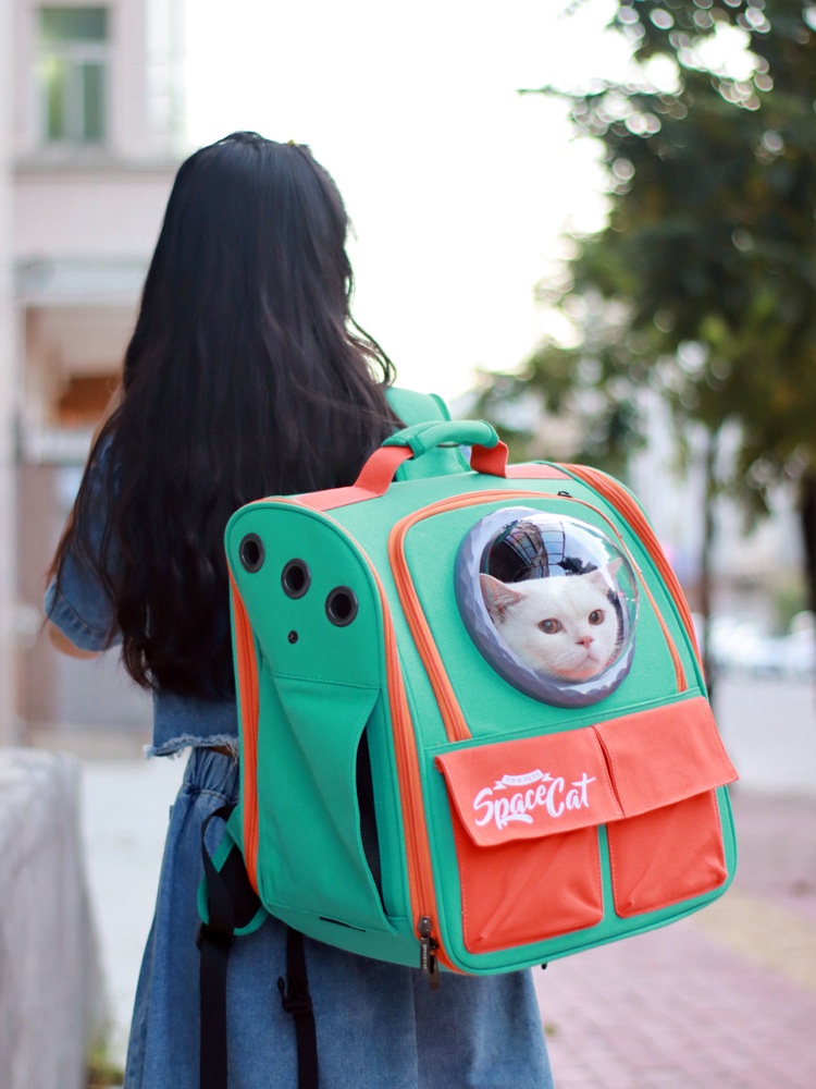 Large Portable Cat Carrier Backpack With Shoulder Straps And Handles For Outings