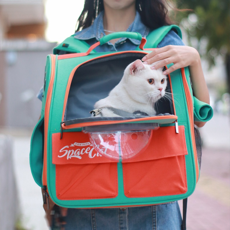Large Portable Cat Carrier Backpack With Shoulder Straps And Handles For Outings