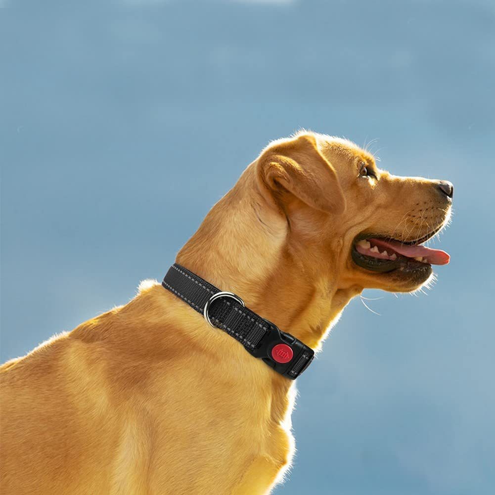 Adjustable Retractable Reflective Safety Leash