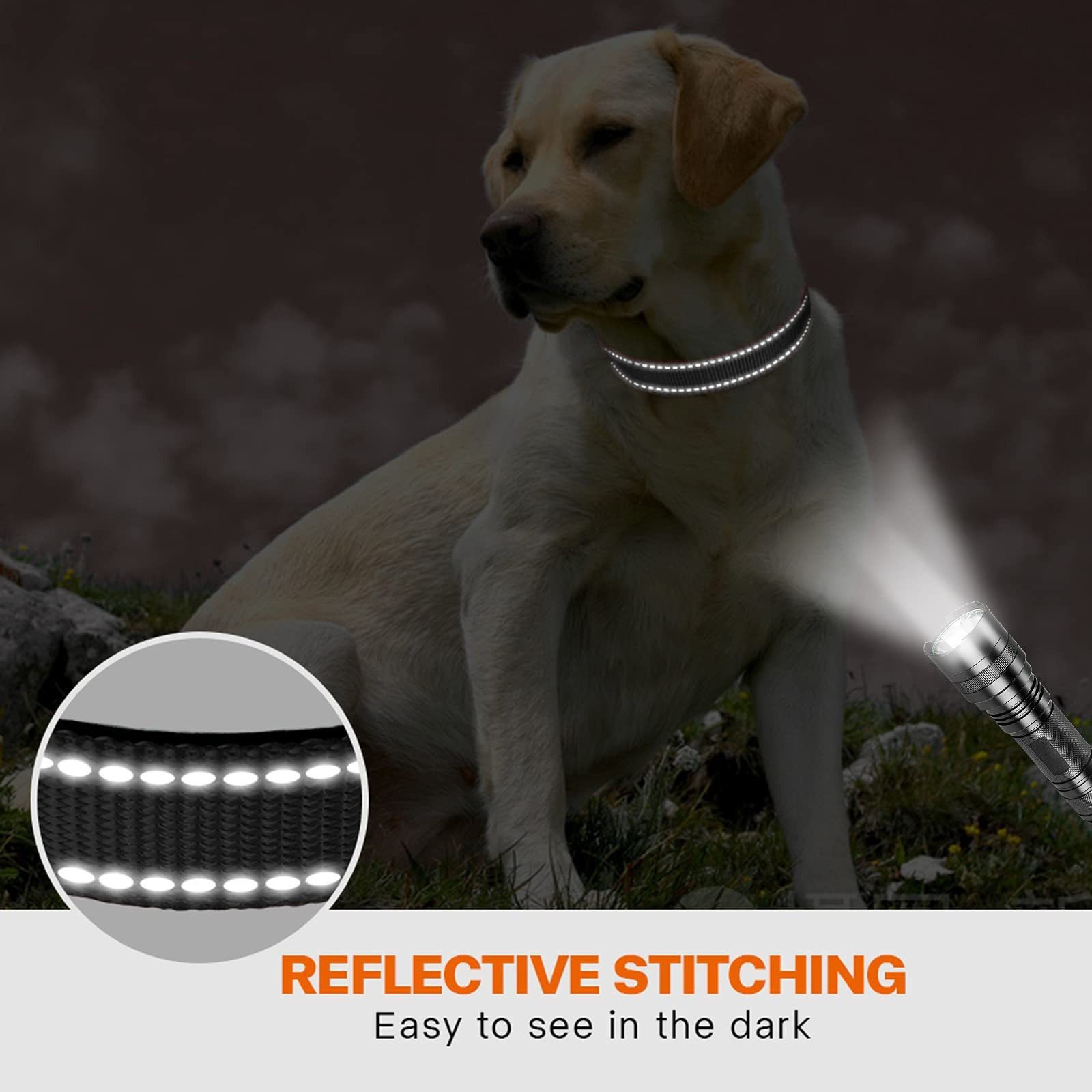 Adjustable Retractable Reflective Safety Leash