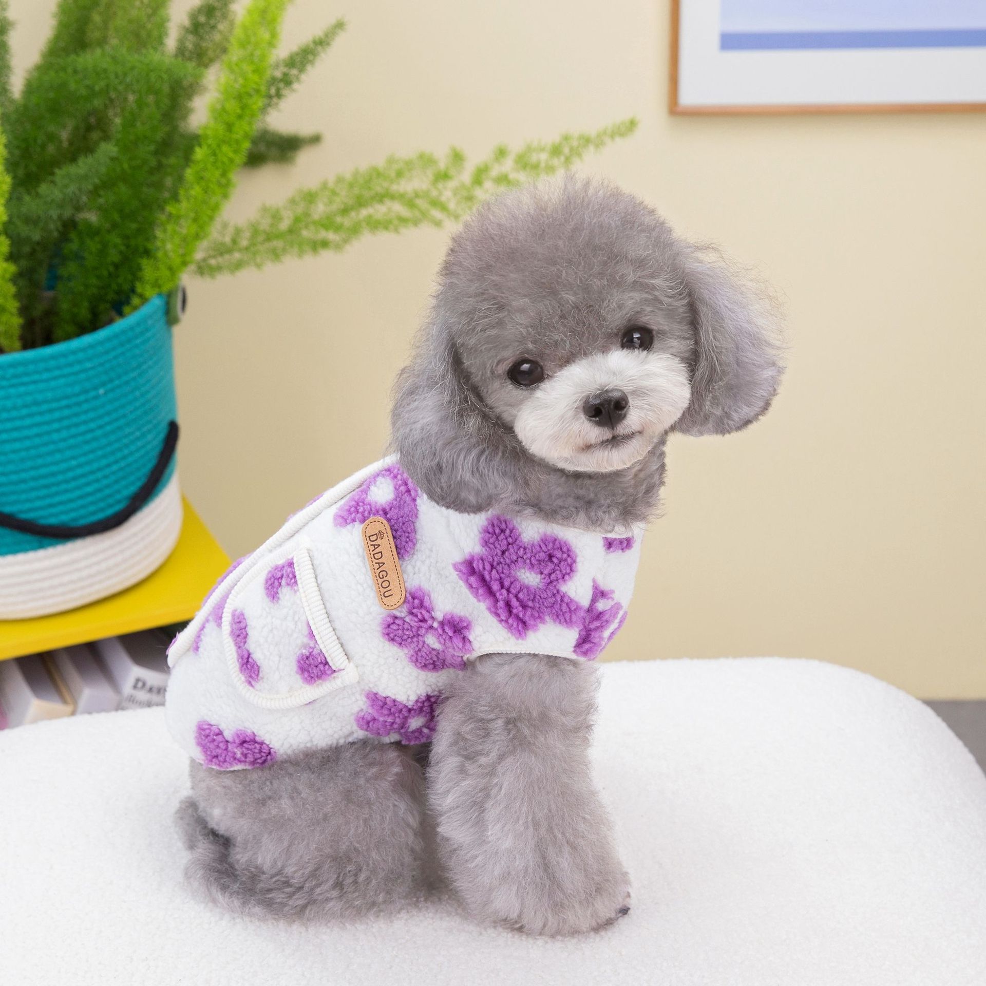 Cat Pet Clothing Winter Five-Petal Flower Velvet Coat